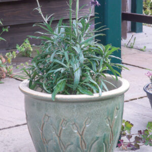 Garden Blooms Pot